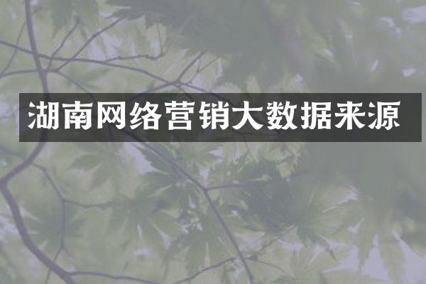 湖南网络营销大数据来源