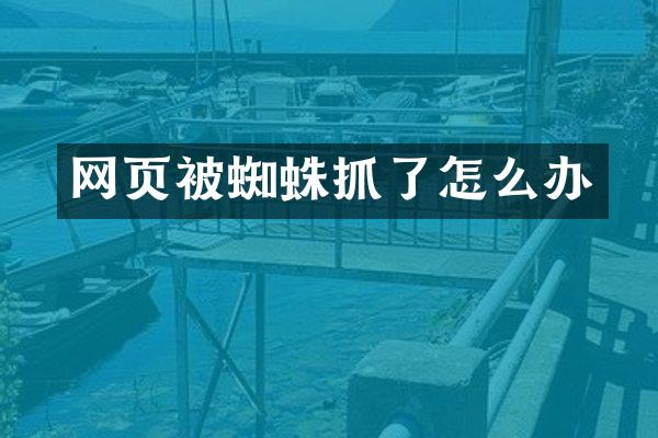 网页被蜘蛛抓了怎么办