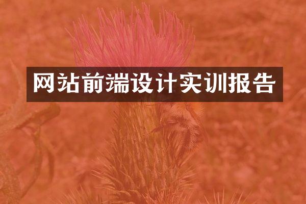 网站前端设计实训报告