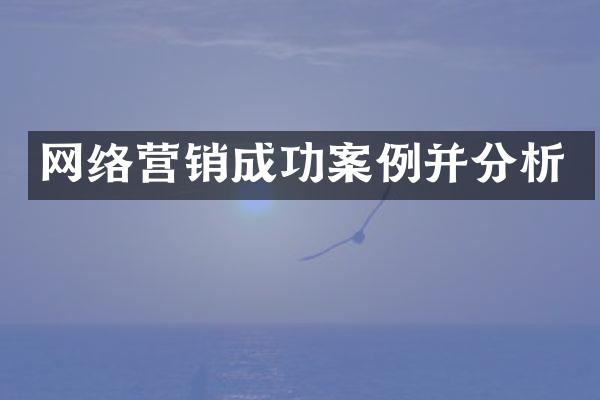 网络营销成功案例并分析