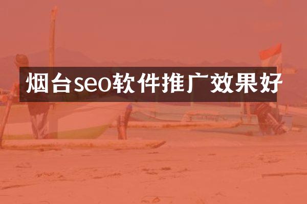 烟台seo软件推广效果好