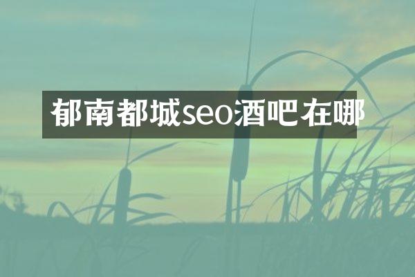 郁南都城seo酒吧在哪