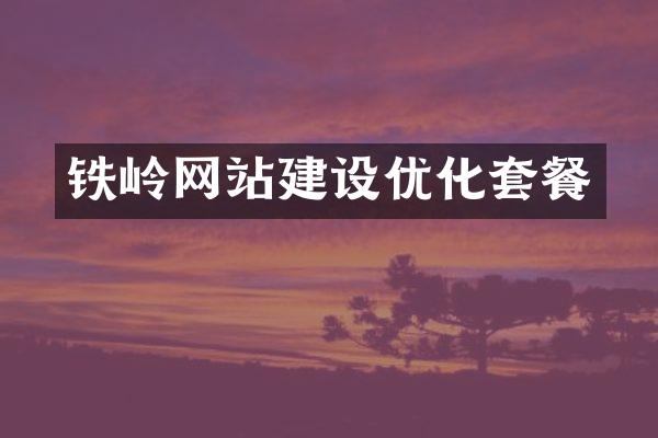 铁岭网站建设优化套餐