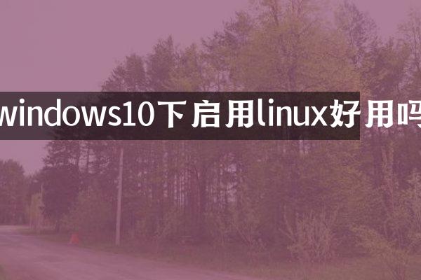 windows10下启用linux好用吗
