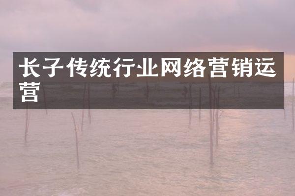 长子传统行业网络营销运营