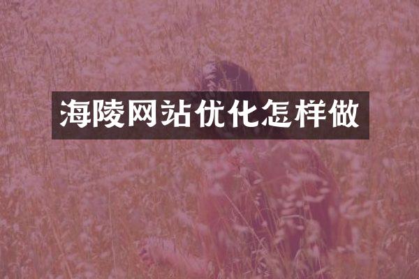 海陵网站优化怎样做