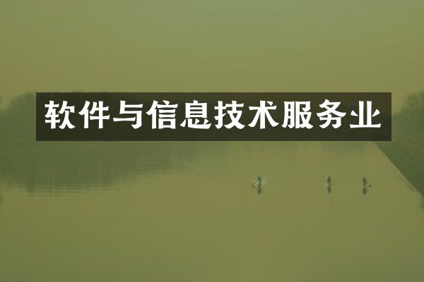 软件与信息技术服务业
