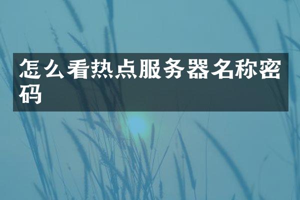 怎么看热点服务器名称密码