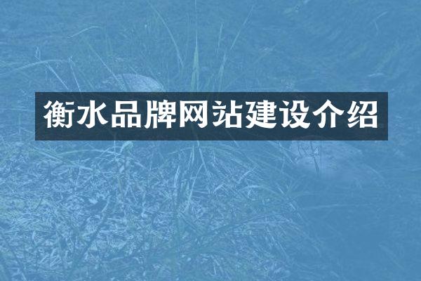 衡水品牌网站建设介绍