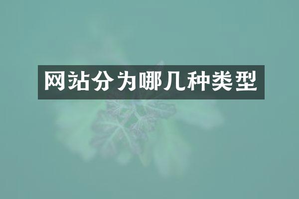 网站分为哪几种类型