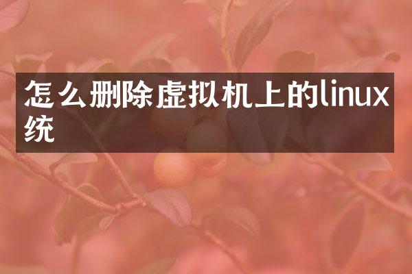 怎么删除虚拟机上的linux系统