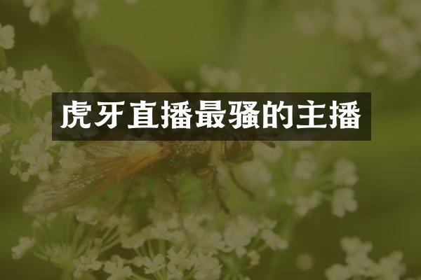 虎牙直播最骚的主播
