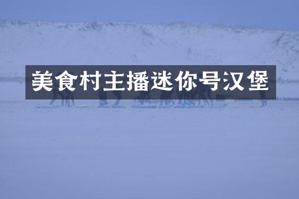美食村主播迷你号汉堡