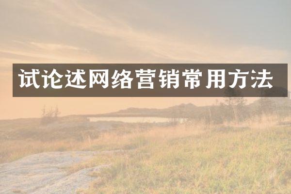 试论述网络营销常用方法