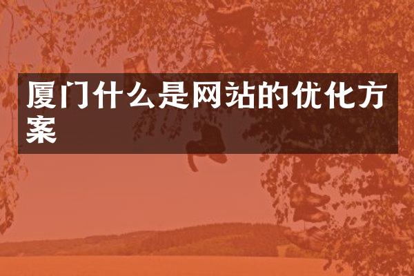 厦门什么是网站的优化方案