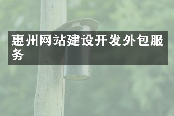 惠州网站建设开发外包服务