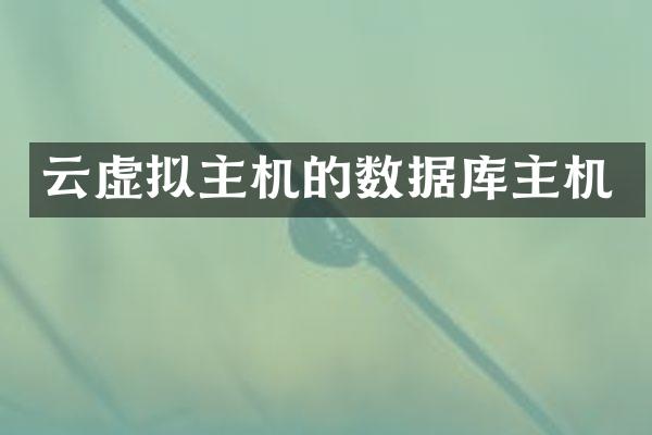 云虚拟主机的数据库主机
