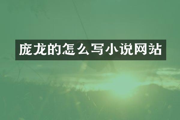 庞龙的怎么写小说网站