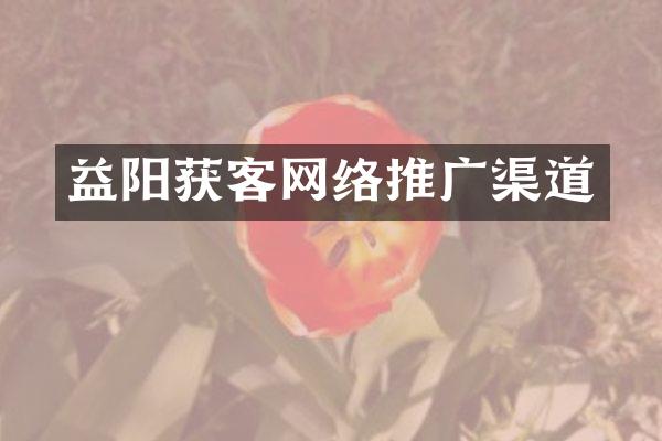 益阳获客网络推广渠道