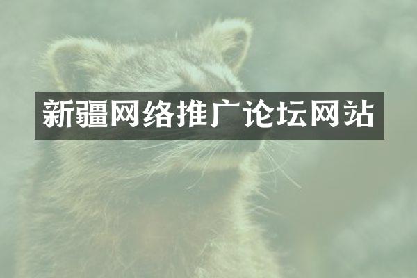 新疆网络推广论坛网站
