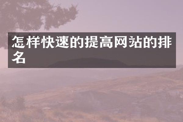 怎样快速的提高网站的排名