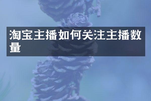淘宝主播如何关注主播数量