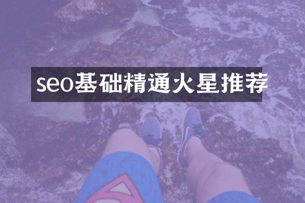seo基础精通火星推荐