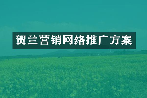 贺兰营销网络推广方案
