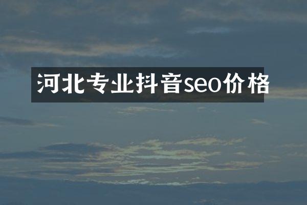 河北专业抖音seo价格