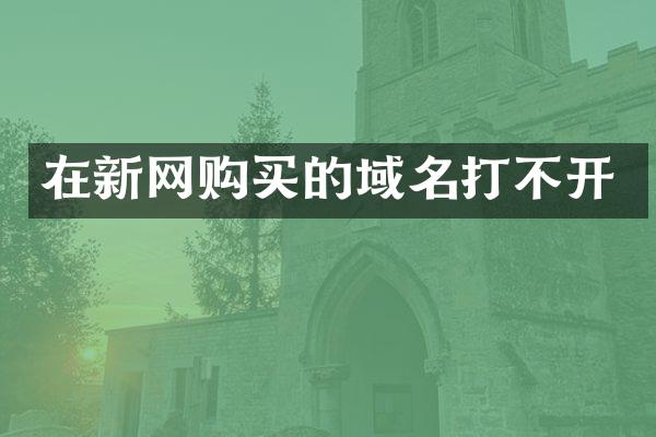 在新网购买的域名打不开