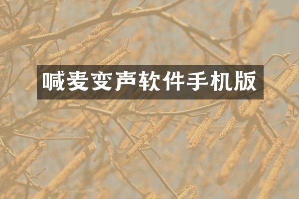喊麦变声软件手机版