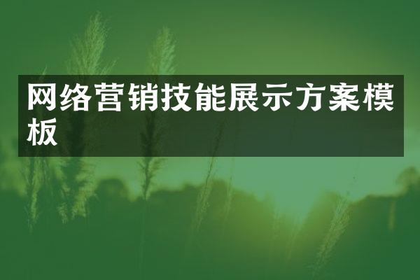 网络营销技能展示方案模板