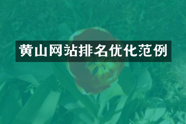 黄山网站排名优化范例