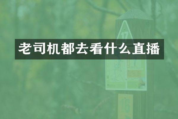 老司机都去看什么直播