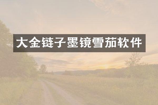 大金链子墨镜雪茄软件