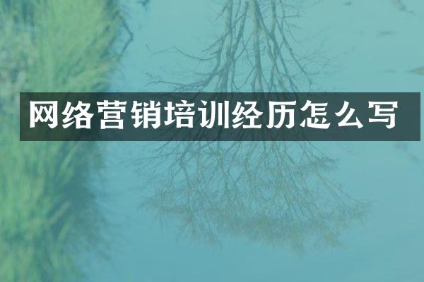 网络营销培训经历怎么写