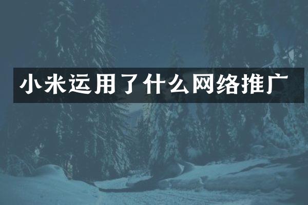 小米运用了什么网络推广