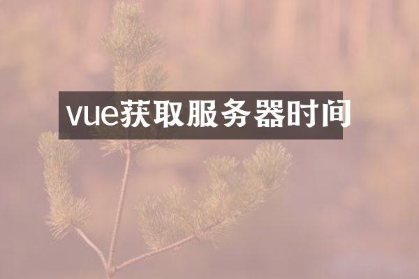 vue获取服务器时间