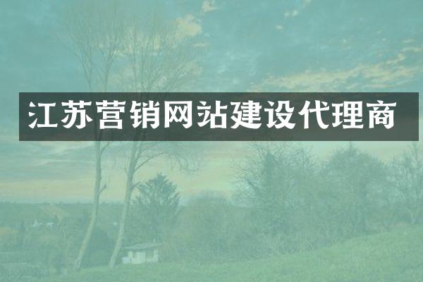 江苏营销网站建设代理商