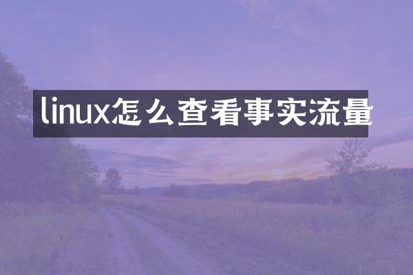 linux怎么查看事实流量