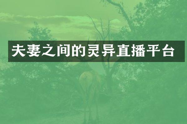 夫妻之间的灵异直播平台