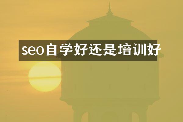 seo自学好还是培训好