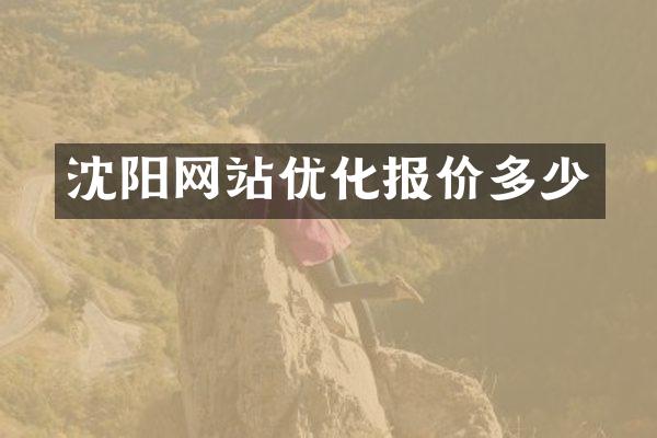 沈阳网站优化报价多少