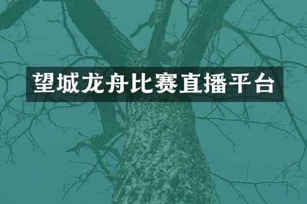 望城龙舟比赛直播平台