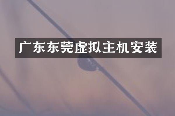 广东东莞虚拟主机安装