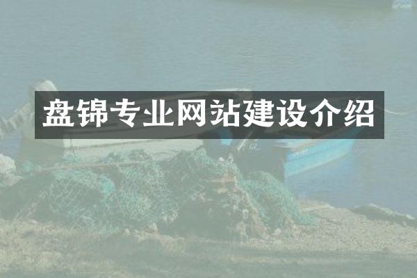 盘锦专业网站建设介绍