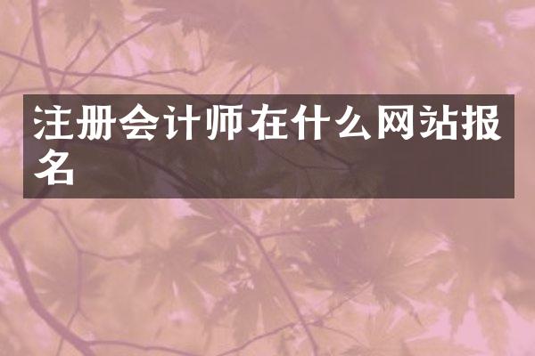 注册会计师在什么网站报名