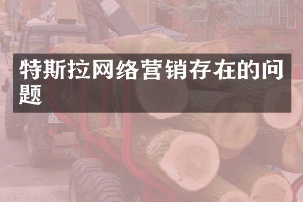 特斯拉网络营销存在的问题