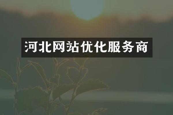 河北网站优化服务商