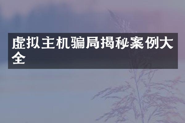 虚拟主机骗局揭秘案例大全